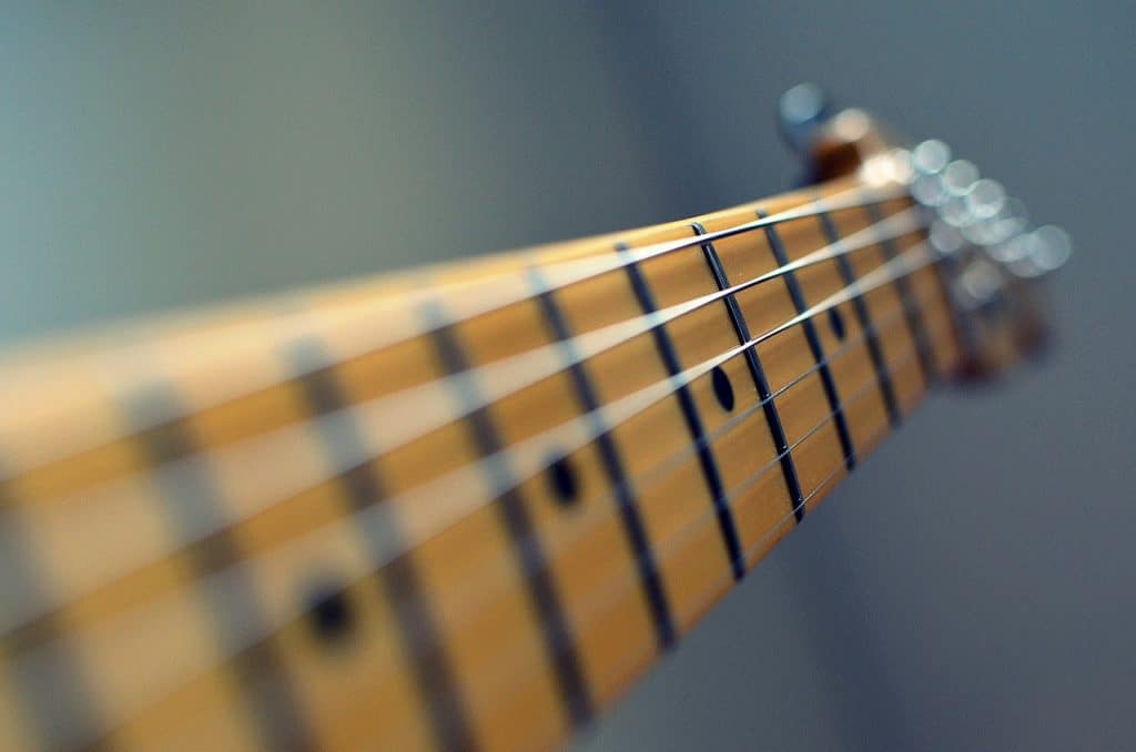 guitar, strings, neck-102708.jpg